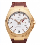 コピー腕時計 IWC ビッグインジュニア 7デイズ IW500503